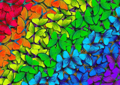 Obrázek k produktu Puzzle Duhoví motýlci 1000 dílků