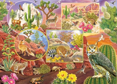 Obrázek k produktu Rodinné puzzle Kouzlo pouště 350 dílků