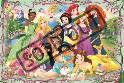 Obrázek k produktu Puzzle Disney princezny: Setkání princezen 260 dílků