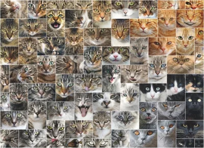 Obrázek k produktu Puzzle Kočky 1000 dílků