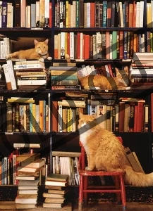 Obrázek k produktu Puzzle Kočky v knihkupectví Gotham 500 dílků