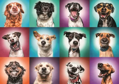Obrázek k produktu Puzzle Legrační portréty psů II, 2000 dílků