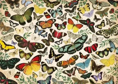 Obrázek k produktu Puzzle Plakát s motýly 1000 dílků