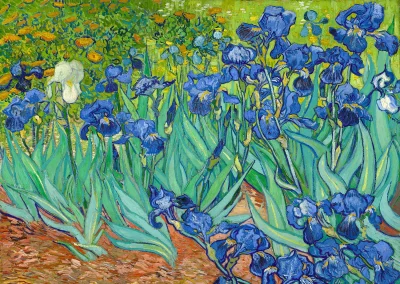 Obrázek k produktu Puzzle Vincent Van Gogh: Kosatce 1000 dílků