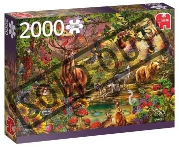 Obrázek k produktu Puzzle Kouzelný les v zapadajícím slunci 2000 dílků