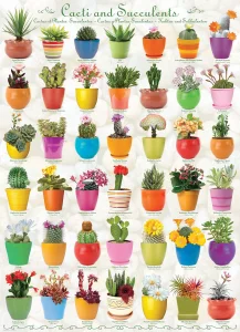 Obrázek k produktu Puzzle Kaktusy a Sukulenty 1000 dílků