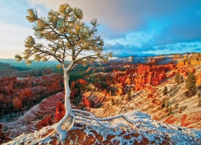Obrázek k produktu Puzzle Zimní svítání, Bryce Canyon 1000 dílků