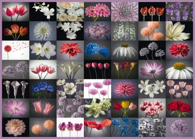 Obrázek k produktu Puzzle Květinový pozdrav 2000 dílků
