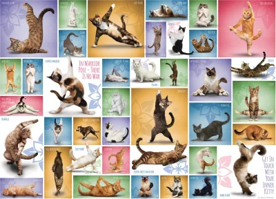 Obrázek k produktu Puzzle Kočičí jóga 1000 dílků