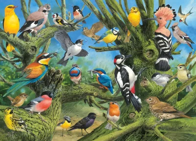 Obrázek k produktu Puzzle Ptáci v zahradě 1000 dílků