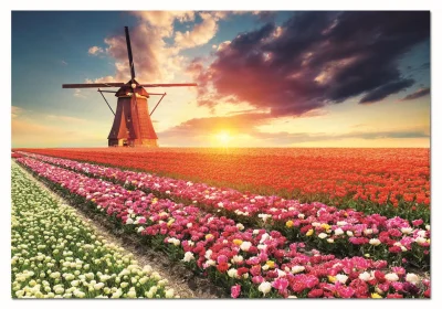 Obrázek k produktu Puzzle Země tulipánů 1500 dílků