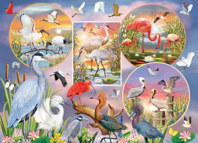 Obrázek k produktu Puzzle Okouzlující vodní ptáci 1000 dílků