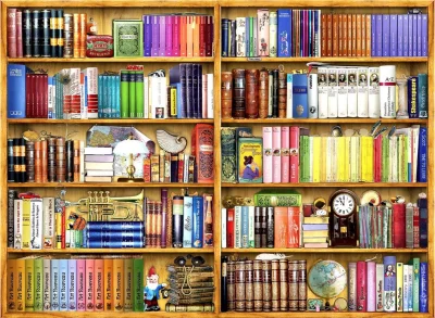 Obrázek k produktu Puzzle Police s knihami 1000 dílků
