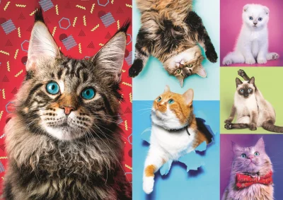 Obrázek k produktu Puzzle Veselé kočky 1000 dílků