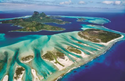 Obrázek k produktu Puzzle Save Our Planet: Korálový útes 1000 dílků