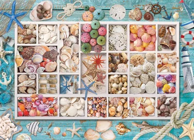 Obrázek k produktu Puzzle Lauřina sbírka mušlí 1000 dílků