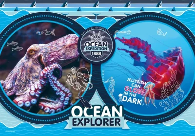 Obrázek k produktu Puzzle National Geographics: Oceánská expedice 180 dílků