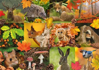 Obrázek k produktu Puzzle Zvířata na podzim 1000 dílků