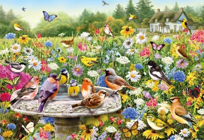 Obrázek k produktu Puzzle Krásy zahrady 500 dílků