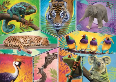Obrázek k produktu Puzzle Animal Planet: Svět exotických zvířat 200 dílků