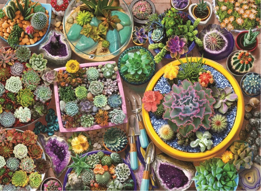 puzzle-kaktusove-kvetinace-1000-dilku-150061.jpg