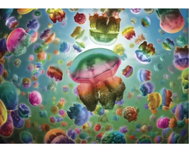 Obrázek k produktu Puzzle Medúzy 1000 dílků