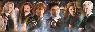 Obrázek k produktu Panoramatické puzzle Harry Potter: Studenti 1000 dílků