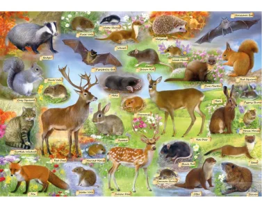 Obrázek k produktu Puzzle Britská divočina 500 dílků