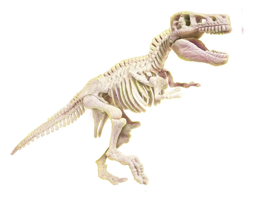 scienceplay-archeologie-tyrannosaurus-rex-161189.jpg