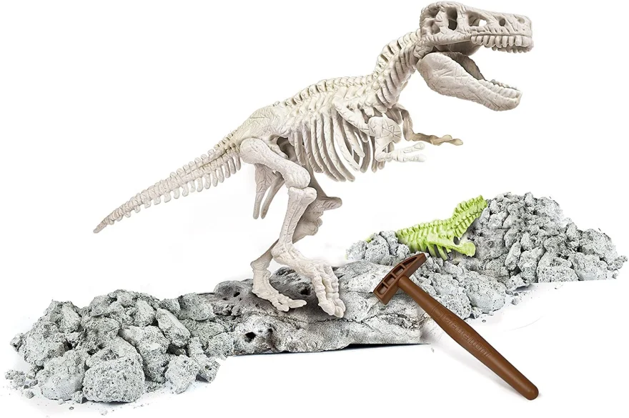 scienceplay-archeologie-tyrannosaurus-rex-161247.jpg