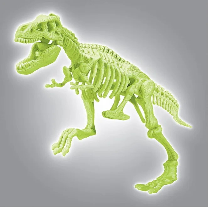 scienceplay-archeologie-tyrannosaurus-rex-161252.jpg