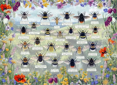 Obrázek k produktu Puzzle Brilantní včely 1000 dílků