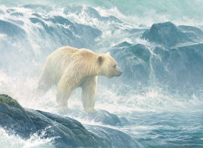 Obrázek k produktu Puzzle Číhání na lososy - Lední medvěd 500 dílků