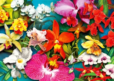 Obrázek k produktu Puzzle Džungle orchidejí 1000 dílků