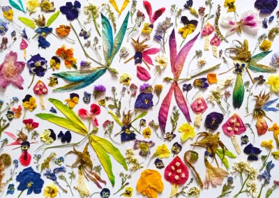 Obrázek k produktu Puzzle Víly a vážky 1000 dílků